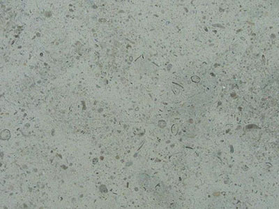 Gascogne Blue Limestone