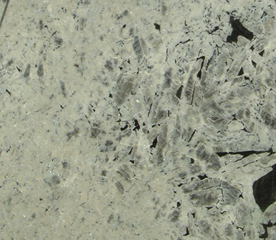 Labradorite Bianco Granite
