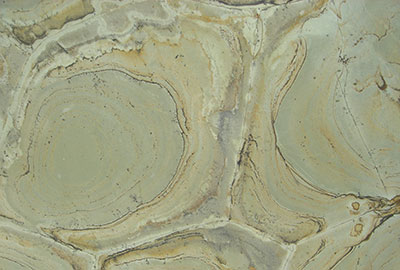 Wasaby Quartzite